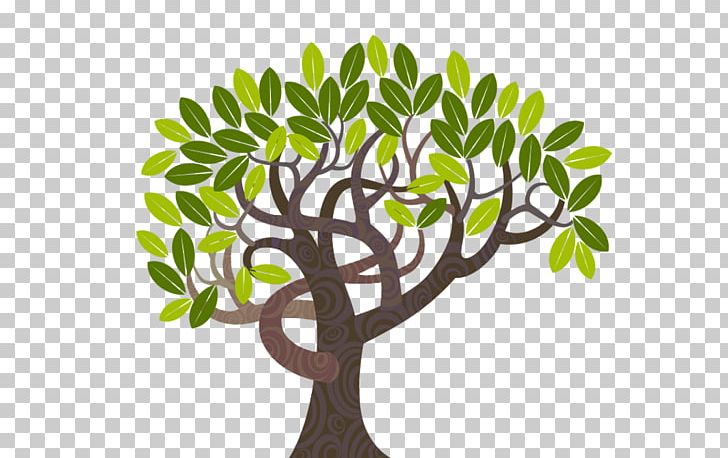 Tree Curve Illustration PNG, Clipart, Arbor Day, Autumn Tree, Branch, Cartoon, Cdr Free PNG Download