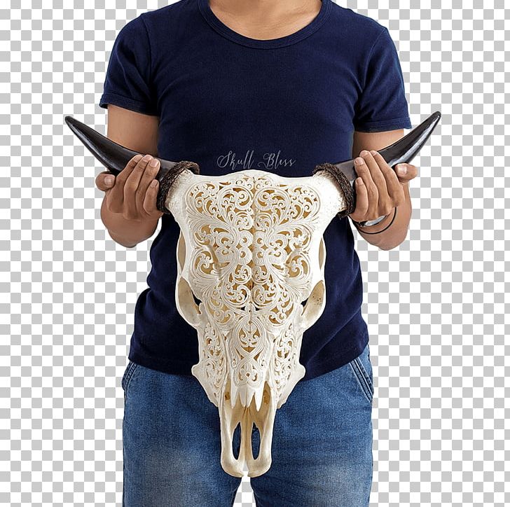 Bali Cattle Horn Skull Orbit PNG, Clipart,  Free PNG Download