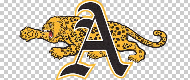 Jacksonville Jaguars St Antoninus Church Cincinnati Sports PNG, Clipart, American Football, Brand, Cincinnati, Coming Home, Football Free PNG Download