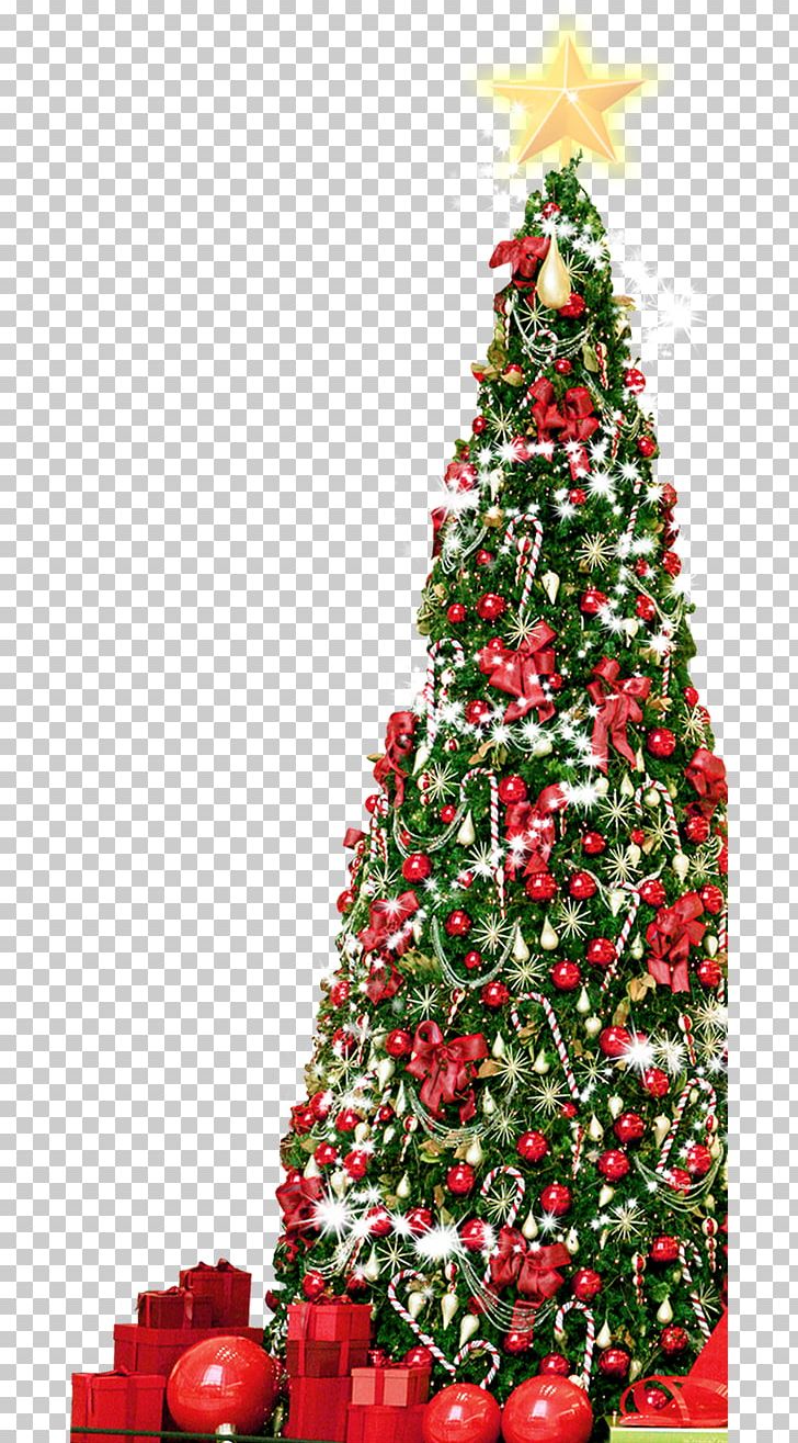 Christmas Tree PNG, Clipart, Big, Christmas, Christmas Decoration, Christmas Frame, Christmas Lights Free PNG Download