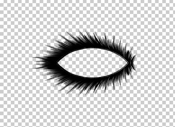 Cosmetics Eyelash Extensions Eye Shadow PNG, Clipart, Beauty, Black And White, Closeup, Cosmetics, Desktop Wallpaper Free PNG Download