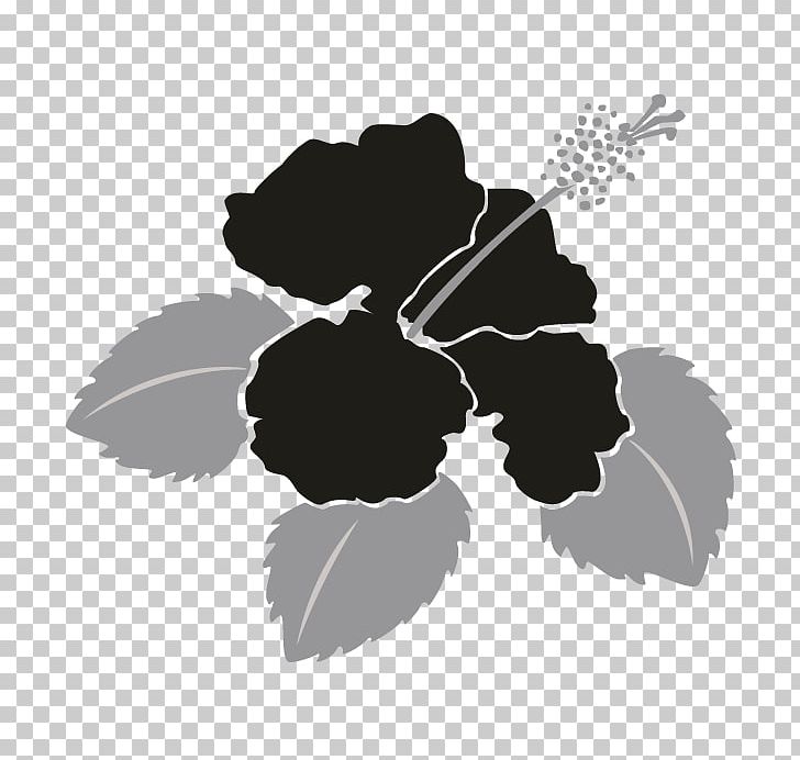 Monochrome Photography Flower Petal PNG, Clipart, Black And White, Flower, Flowering Plant, Leaf, Monochrome Free PNG Download
