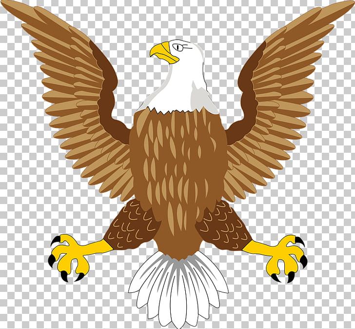 Bald Eagle Bird Symbol PNG, Clipart, Accipitriformes, Animals, Bald Eagle, Beak, Bird Free PNG Download