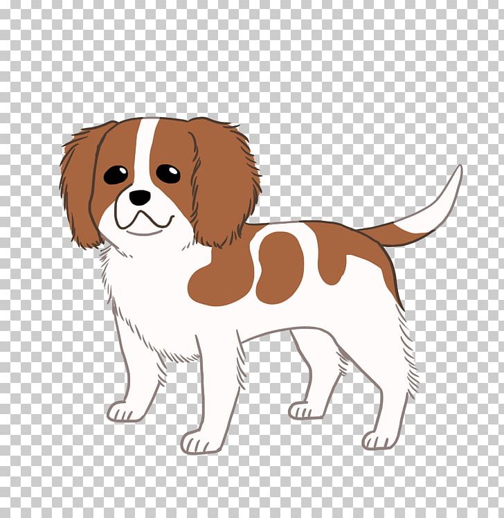 Cavalier King Charles Spaniel Dog Breed Puppy Companion Dog PNG, Clipart, Animals, Breed, Carnivoran, Cavalier, Caviler King Charles Sapinel Free PNG Download