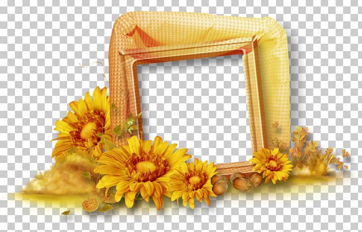 Frames Autumn PNG, Clipart, Adobe Flash, Autumn, Border, Clip Art, Cut Flowers Free PNG Download