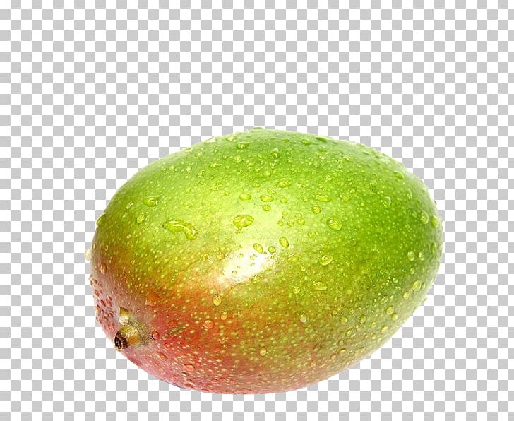 Fruit Food Mango Guava Eating PNG, Clipart, Apple, Auglis, Avocado, Citrus, Eating Free PNG Download