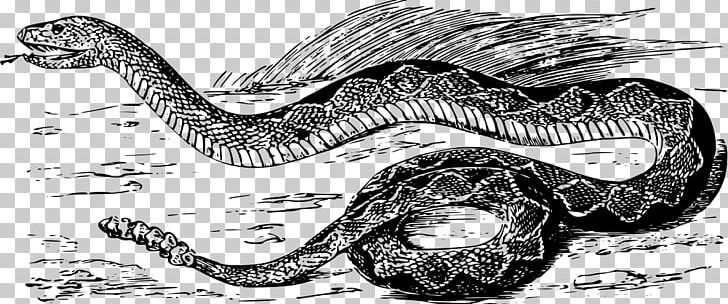 Rattlesnake Vipers Venomous Snake PNG, Clipart, Animals, Black And White, Boas, Cobra, Coral Snake Free PNG Download