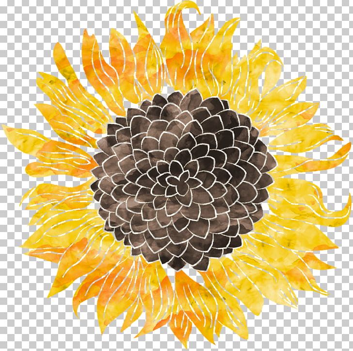 Common Sunflower Watercolor Painting Art PNG, Clipart, Art, Common Sunflower, Cuisine, Daisy Family, Flower Free PNG Download