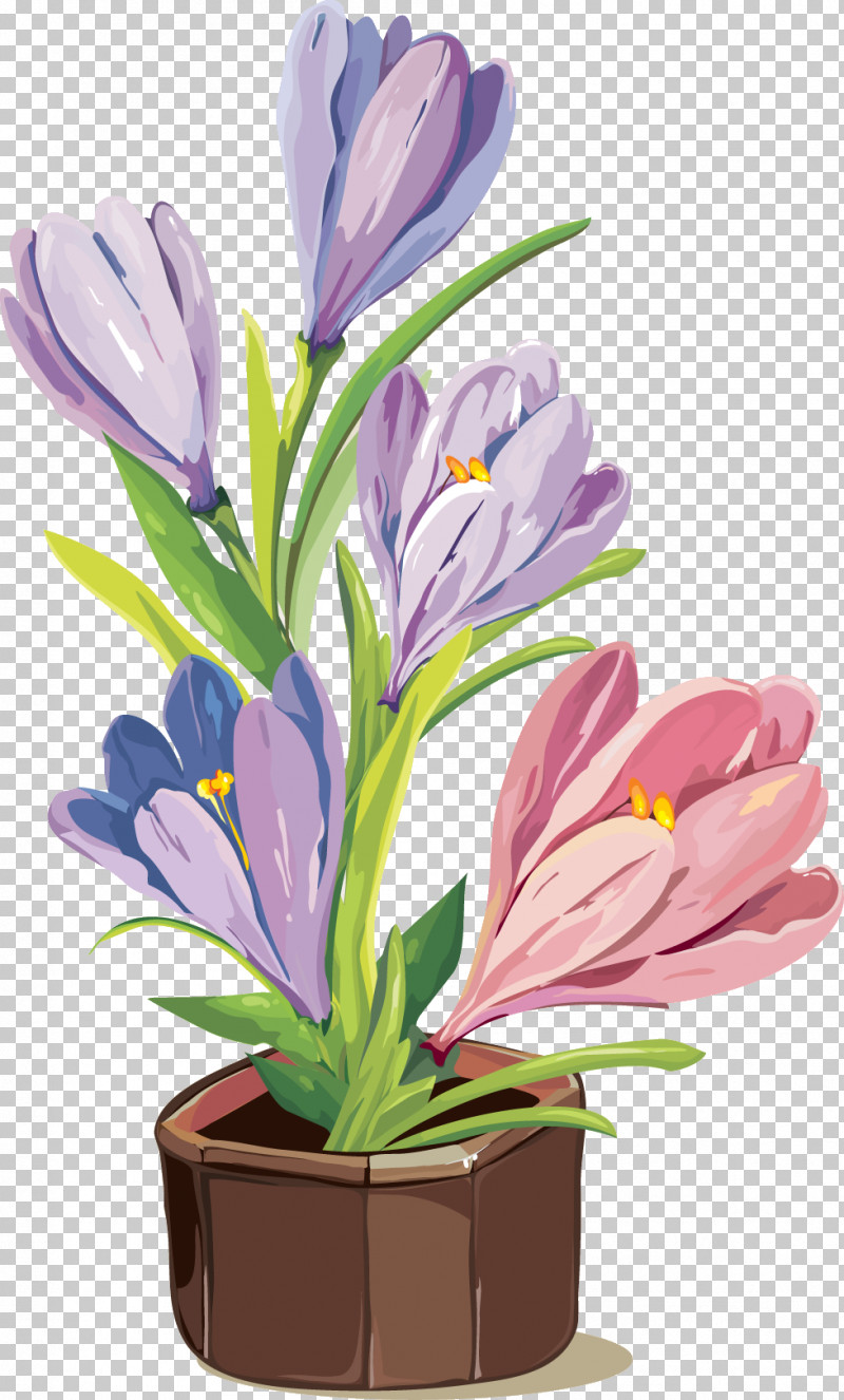 Flower Plant Crocus Petal Spring Crocus PNG, Clipart, Crocus, Cut Flowers, Drawing Flower, Floral Drawing, Flower Free PNG Download