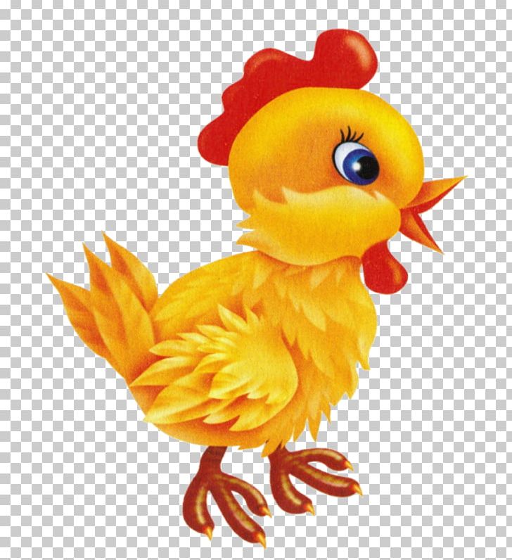 Rooster Chicken Duck PNG, Clipart, Animaatio, Animal, Animals, Beak, Bird Free PNG Download