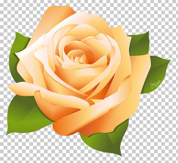 Rose PNG, Clipart, Art, Color, Computer Wallpaper, Cut Flowers, Floral Design Free PNG Download