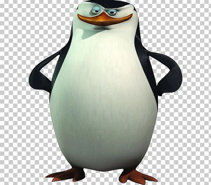 Madagascar Penguins PNG, Clipart, Madagascar Penguins Free PNG Download