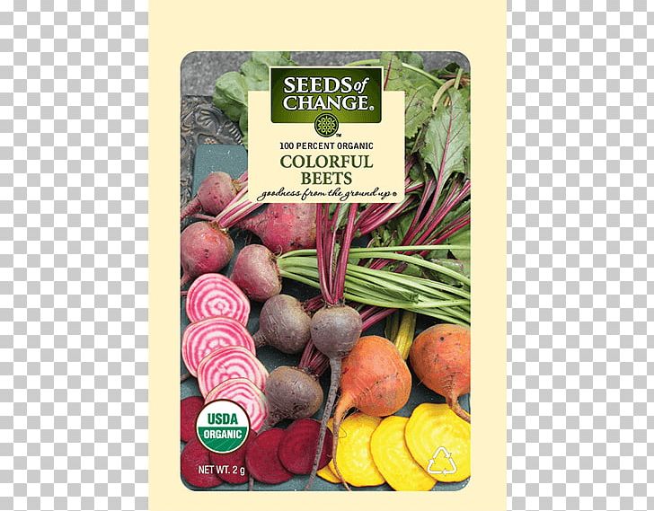 Organic Food Common Beet Vegetable Seed PNG, Clipart, Beet, Beetroot, Certified, Colorful, Common Beet Free PNG Download
