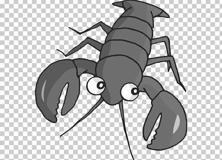 Seafood Palinurus Elephas Cartoon PNG, Clipart, Animals, Arthropod, Cartoon, Crayfish, Cuttlefish Free PNG Download