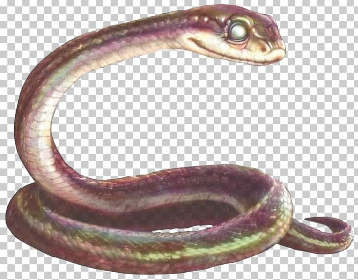 Snake Mrs. Plithiver Gylfie Kludd Guardians Of Ga'Hoole PNG, Clipart, Animals, Book, Film, Guardians Of Gahoole, Gylfie Free PNG Download