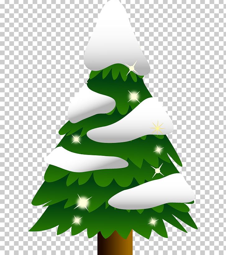 Abies Firma Christmas Tree PNG, Clipart, Abies Firma, Branch, Christmas, Christmas And Holiday Season, Christmas Ornament Free PNG Download