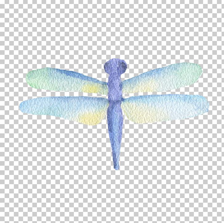 Insect Dragonfly Watercolor Painting PNG, Clipart, Blue, Cartoon Dragonfly, Color, Download, Dragonflies Free PNG Download