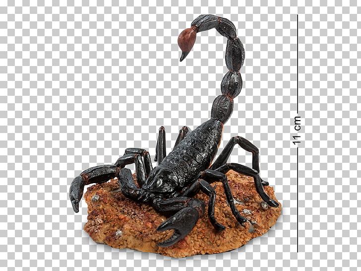 Emperor Scorpion Arachnid Animal Shutterstock PNG, Clipart, Animal, Arachnid, Arthropod, Download, Emperor Scorpion Free PNG Download