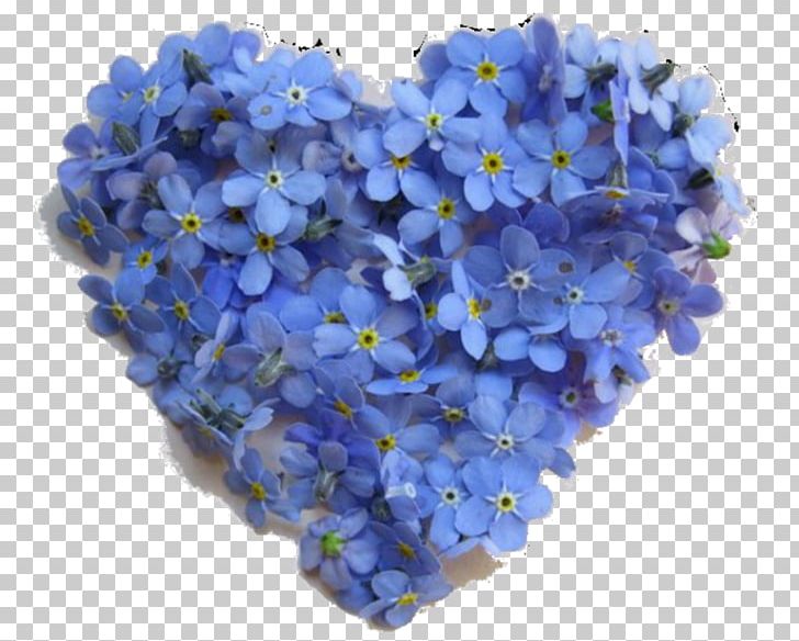 Flower Blue Rose Color Heart PNG, Clipart, Annual Plant, Artificial Flower, Blue, Borage Family, Clothing Free PNG Download