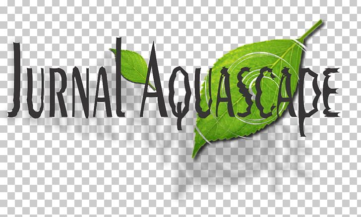 Logo Brand Font Png Clipart April Aquascape Art Brand City Free Png Download