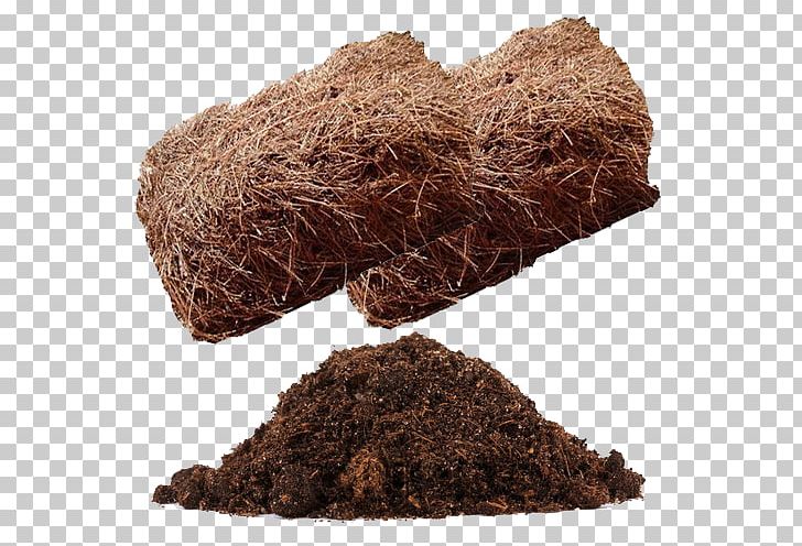 Mulch Soil Straw Plant Pine PNG, Clipart,  Free PNG Download