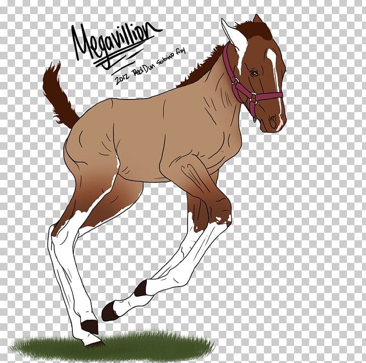 Mule Foal Stallion Mare Mustang PNG, Clipart, Animal Figure, Bridle, Colt, Donkey, Foal Free PNG Download