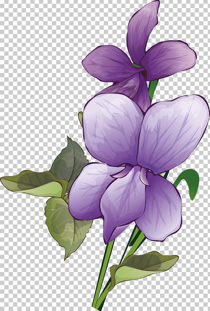 Plant Stem Herbaceous Plant PNG, Clipart, Flower, Flowering Plant, Herbaceous Plant, Iris, Lilac Free PNG Download