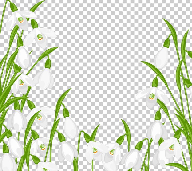 Snowdrop PNG, Clipart, Branch, Clip Art, Color, Crocus Vernus, Design Free PNG Download