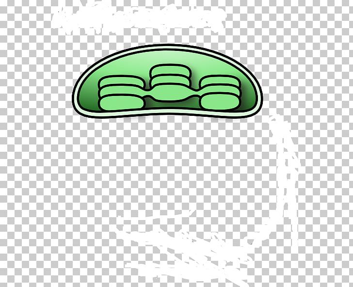 Chloroplast Graphics Portable Network Graphics PNG, Clipart, Area, Automotive Design, Biology, Chloroplast, Diagram Free PNG Download