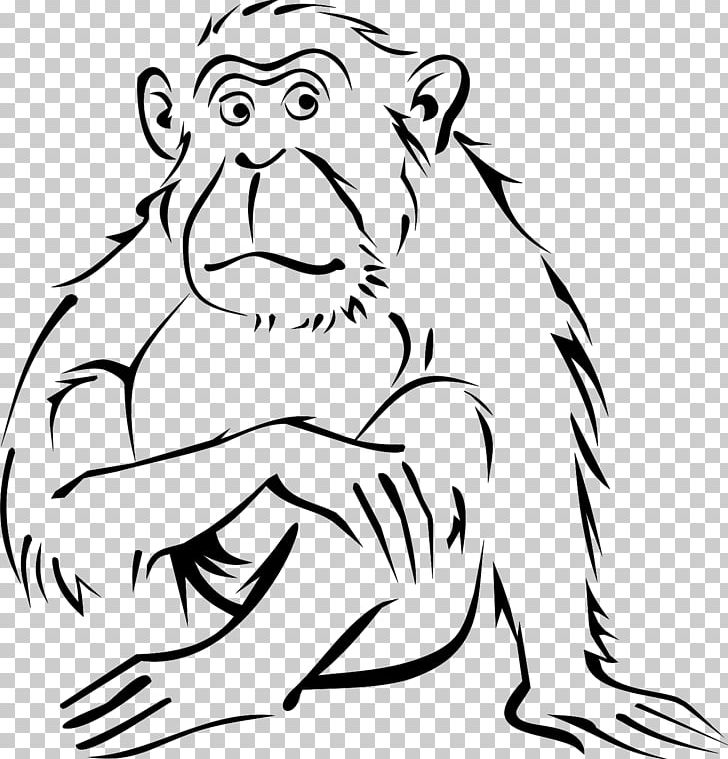 Monkey Coloring Book Drawing Black-and-white Colobus PNG, Clipart, Animals, Art, Artwork, Black, Carnivoran Free PNG Download