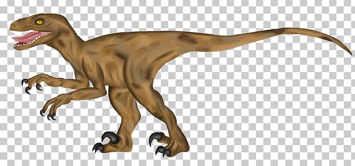 Velociraptor Tyrannosaurus Terrestrial Animal PNG, Clipart, Animal, Animal Figure, Asia, Dinosaur, Organism Free PNG Download
