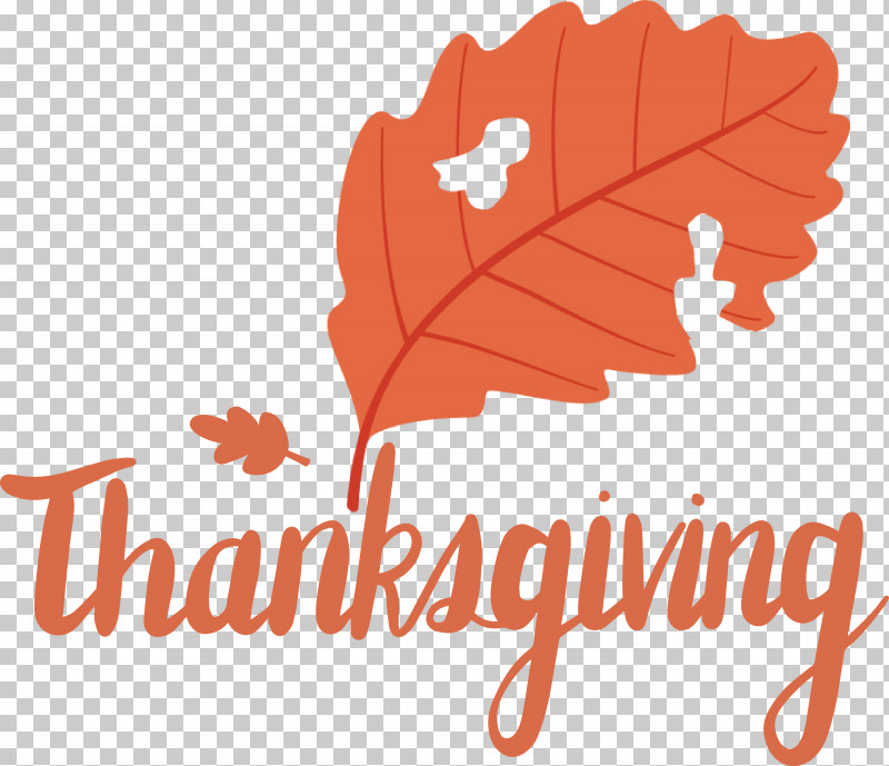 Thanksgiving PNG, Clipart, Flower, Fruit, Geometry, Leaf, Line Free PNG Download