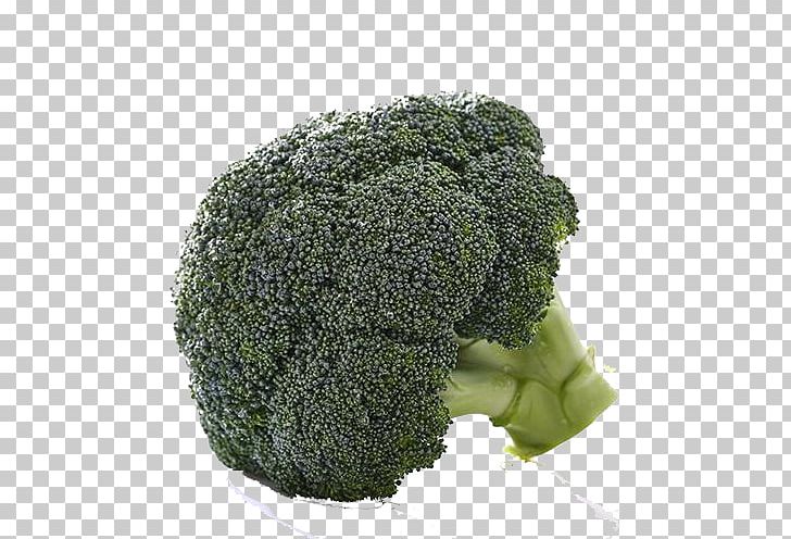 Broccoli Vegetable Organic Food Tomato PNG, Clipart, Bell Pepper, Broccoli, Cabbage, Carrot, Daikon Free PNG Download
