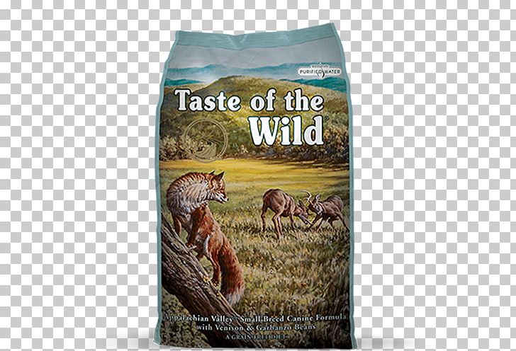 Dog Food Taste Appalachian Mountains Cat Food PNG, Clipart, Animals, Appalachian Mountains, Breed, Canning, Carnivore Free PNG Download