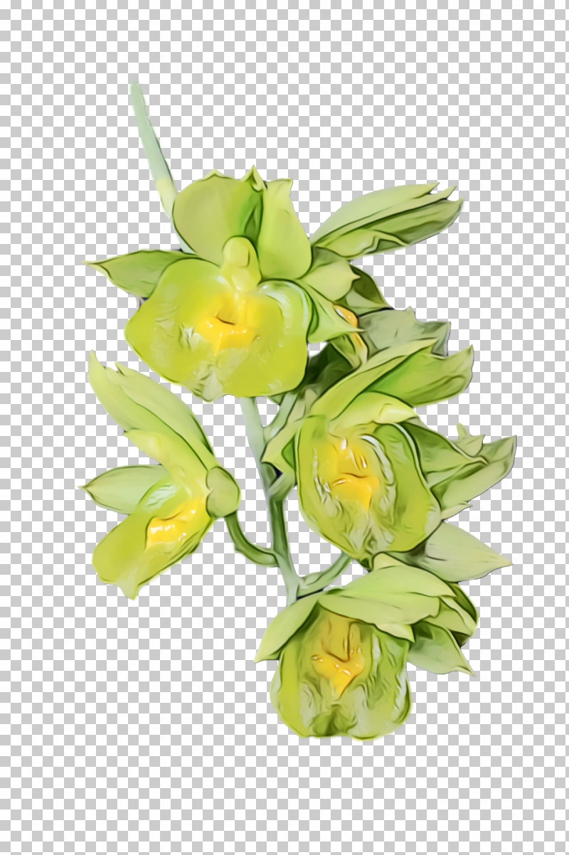 Floral Design PNG, Clipart, Artificial Flower, Cattleya Orchids, Cut Flowers, Dendrobium, Floral Design Free PNG Download
