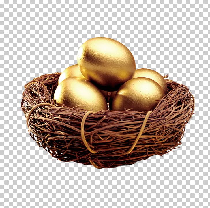 Edible Birds Nest Egg Bird Nest Icon PNG, Clipart, Animals, Basket, Bird, Bird Cage, Bird Nest Free PNG Download