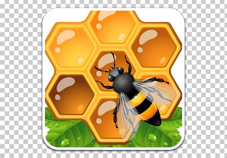 Honey Bee Honeycomb PNG, Clipart, Arthropod, Bee, Beehive, Beeswax, Desktop Wallpaper Free PNG Download