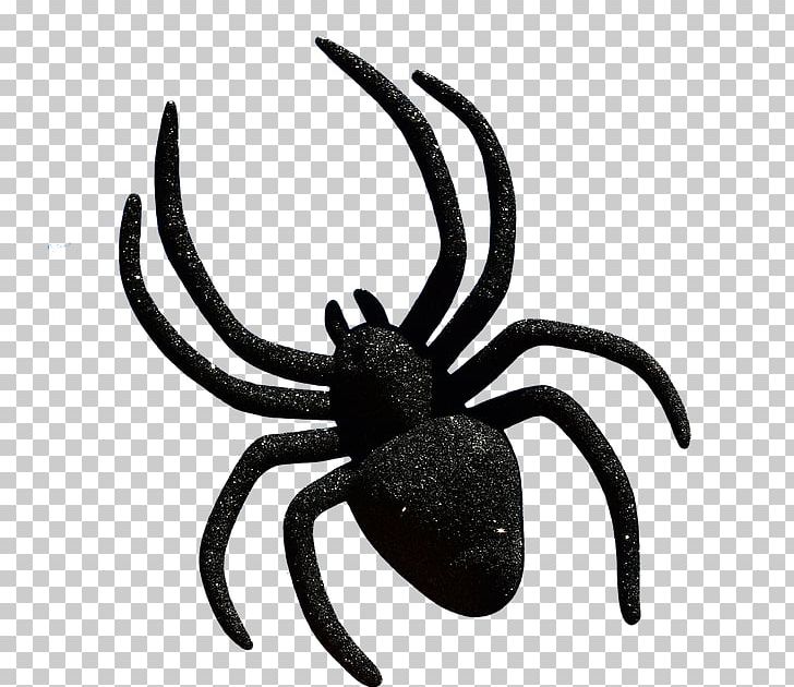 Spider Halloween Trick-or-treating PNG, Clipart, Arachnid, Arthropod, Black And White, Decapoda, Halloween Free PNG Download