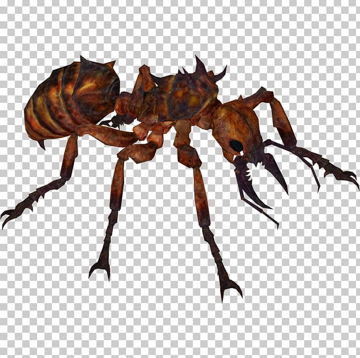 Zoo Tycoon 2 Ant Insect Wikia PNG, Clipart, Animal, Animals, Ant, Ants, Arthropod Free PNG Download