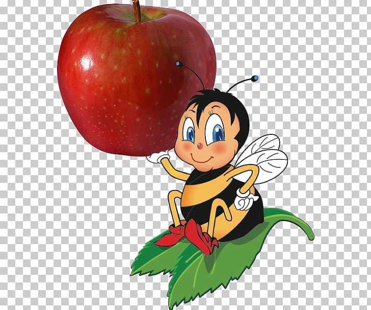 Apple SugarBee Honeycrisp PNG, Clipart, Apple, Art, Bee, Cartoon, Codling Moth Free PNG Download
