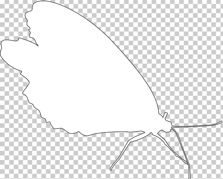 Butterfly Drawing /m/02csf Line Art PNG, Clipart, Angle, Artwork, Beak, Black And White, Butterflies And Moths Free PNG Download