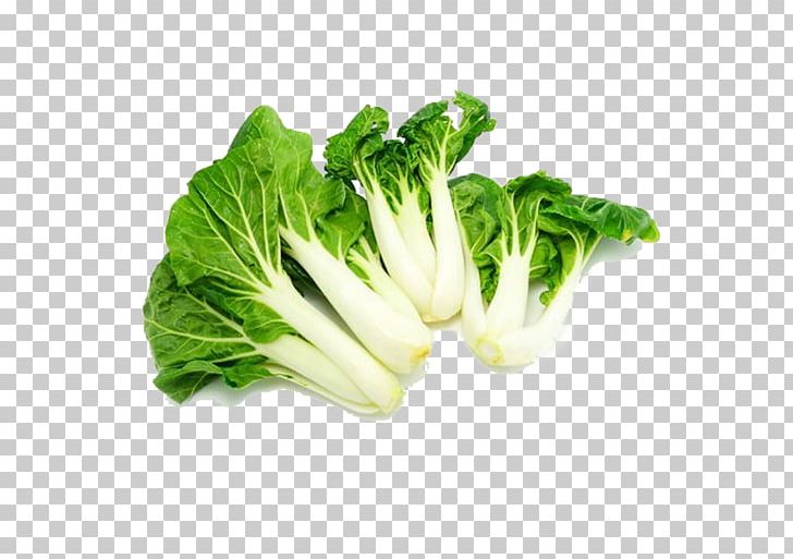 Chinese Cabbage Spring Greens Napa Cabbage Leaf Vegetable Broccoli PNG, Clipart, Cabbage, Chard, Chinese, Chinese Broccoli, Choy Sum Free PNG Download