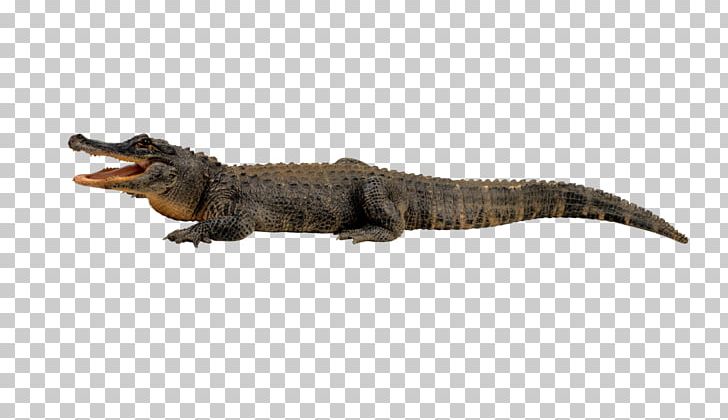 Crocodile Alligator Gharial PNG, Clipart, Alligator, Anaconda, Animal Figure, Animals, Computer Icons Free PNG Download