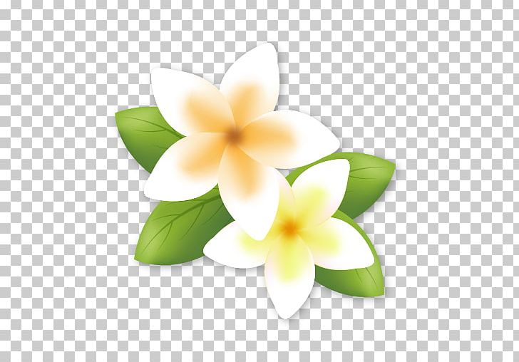 Frangipani PNG, Clipart, Euclidean Space, Flower, Flowering Plant, Frangipani, Others Free PNG Download