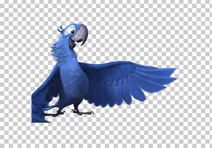 Macaw Parrot Bird Cobalt Blue Perico PNG, Clipart, Beak, Bird, Blu, Blue Sky Studios, Cobalt Blue Free PNG Download