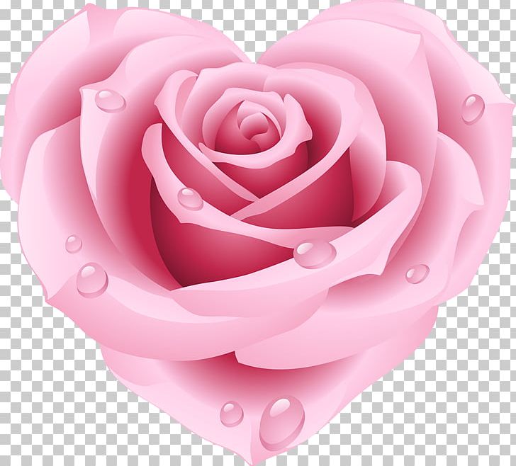 Rose Heart Pink PNG, Clipart, Closeup, Cut Flowers, Drawing, Flower, Flowering Plant Free PNG Download