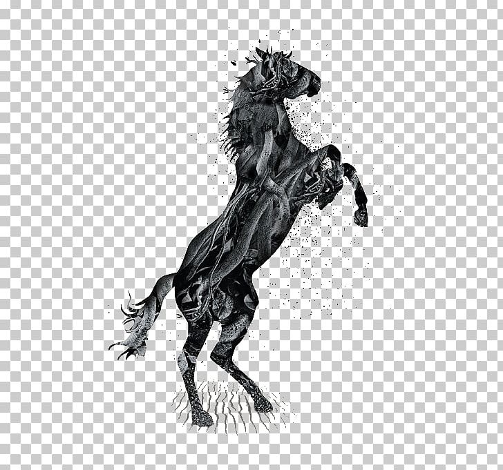 Mustang Rearing Silhouette PNG, Clipart, Animals, Art, Black, Black And White, Carnivoran Free PNG Download
