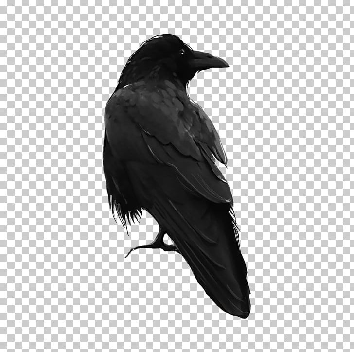PicsArt Photo Studio Bird Editing PNG, Clipart, American Crow, Animals, Beak, Bird, Black And White Free PNG Download