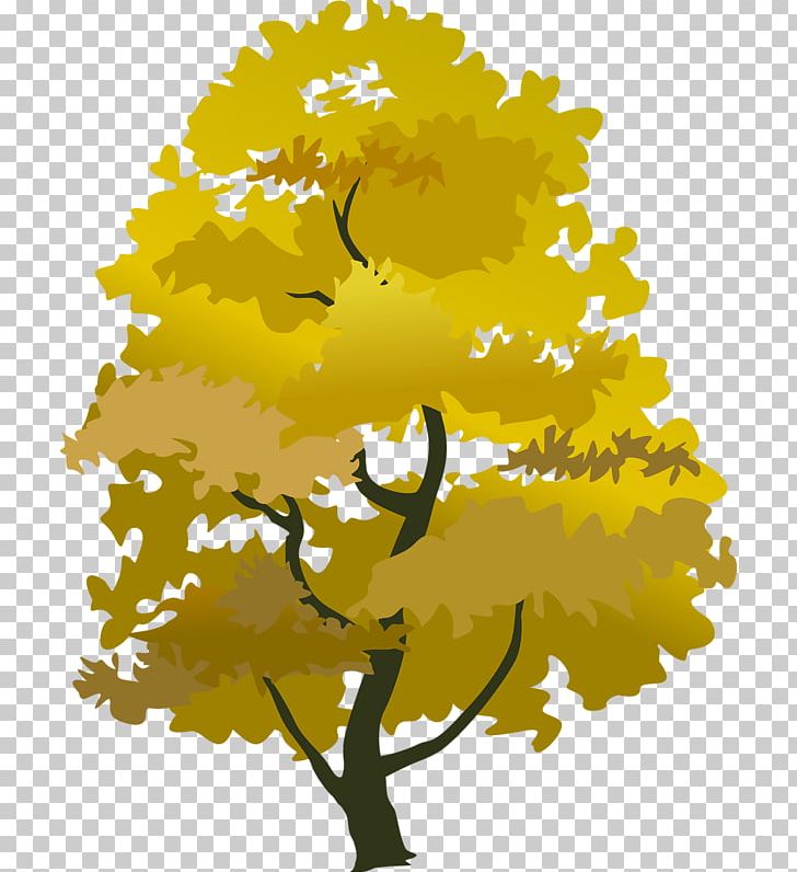 Tree Autumn PNG, Clipart, Arecaceae, Art, Autumn, Autumn Tree, Birch Free PNG Download