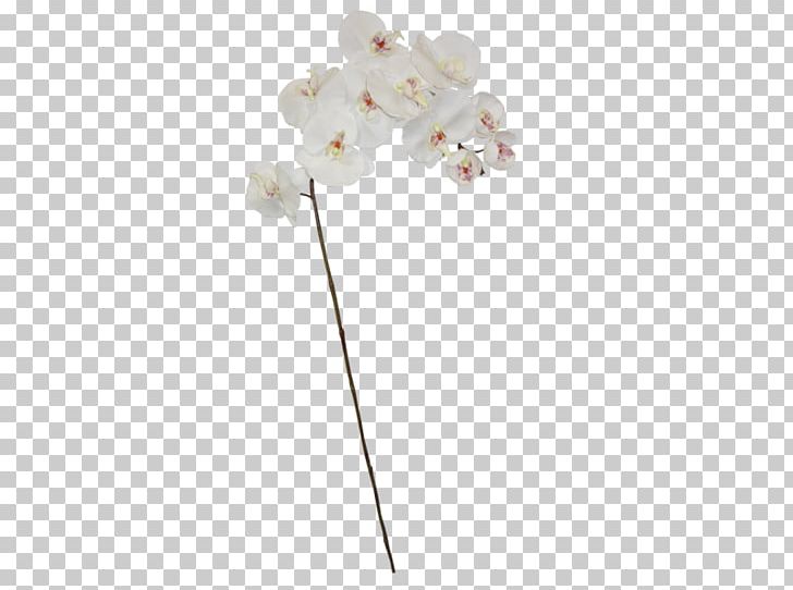 Body Jewellery Pearl PNG, Clipart, Body Jewellery, Body Jewelry, Flower, Jewellery, Jewelry Making Free PNG Download
